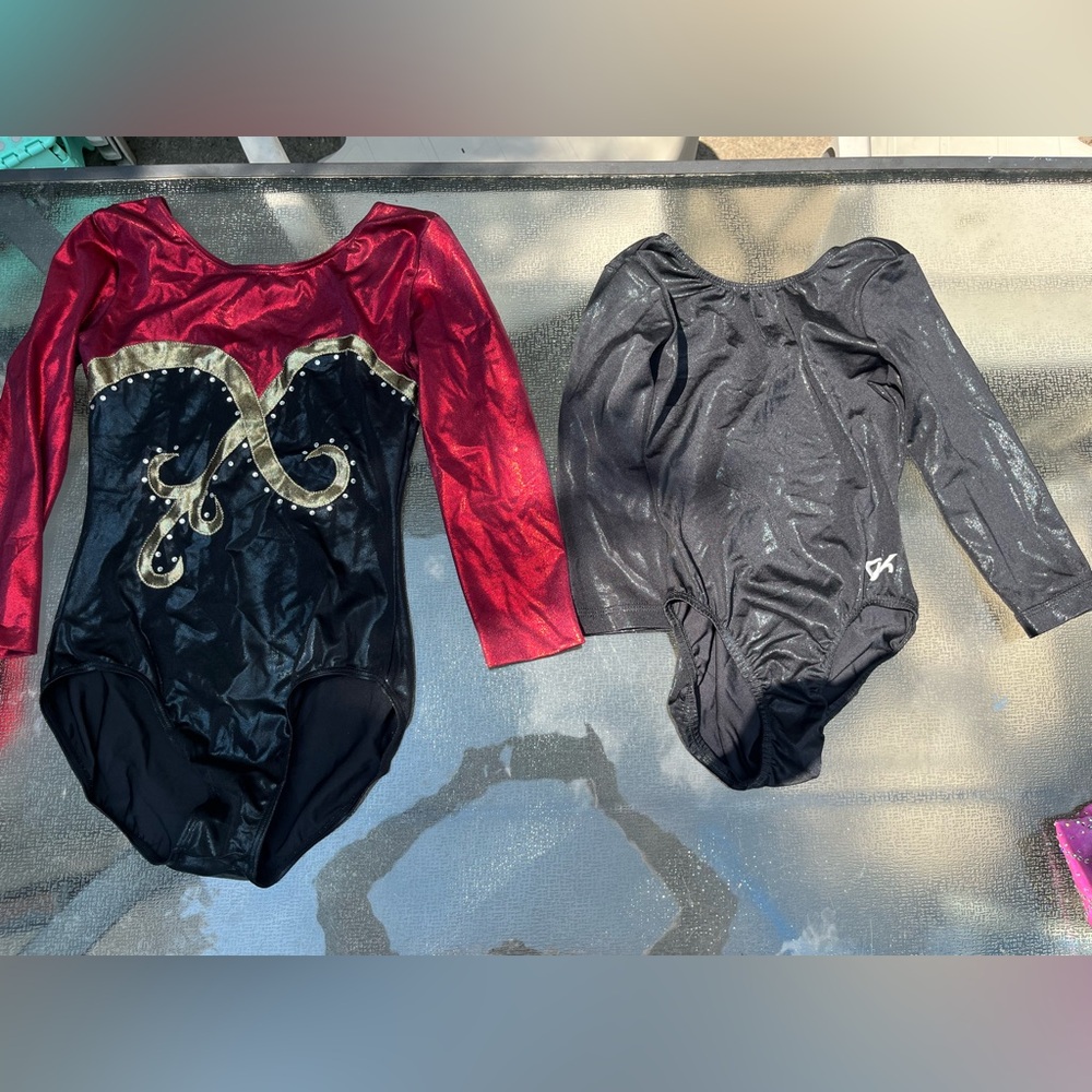 Women’s long sleeve leotards